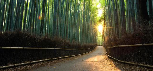 Retirement Calculator Are You On Track To Reach Your Goals Olison Company